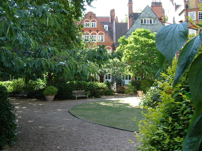 View of the garden